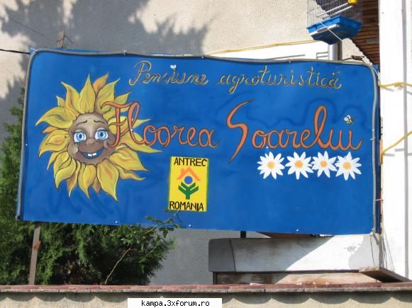 poze pensiunea floarea soarelui